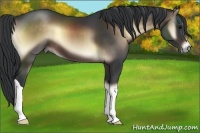 Horse Color:Brown Onyx 