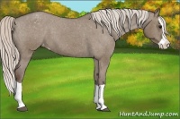 Horse Color:Silver Grullo Splash Varnish 