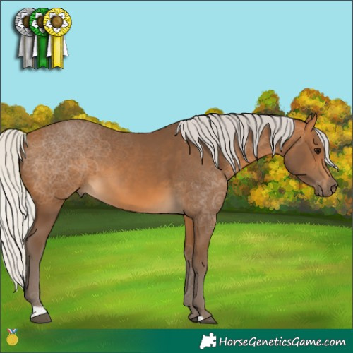 Horse Color:Silver Buckskin 