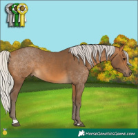 Horse Color:Silver Buckskin
