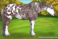 Horse Color:Chocolate Black Ice Sabino Appaloosa Rabicano