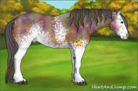 Horse Color:Nacre White Spotted Bay 