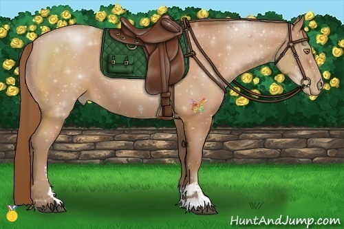 Horse Color:Bay Pearl Sabino 