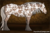 Horse Color:Silver Brown Ice 