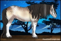 Horse Color:White Spotted Liver Red Onyx Sabino 