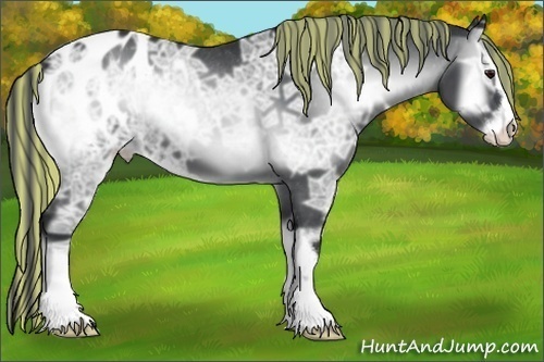 Horse Color:Painted Blue Onyx Chinchilla Ice Sabino Appaloosa 
