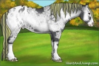 Horse Color:Painted Blue Onyx Chinchilla Ice Sabino Appaloosa 