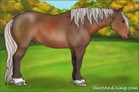 Horse Color:Silver Brown