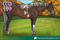 Horse Color:Liver Chestnut Mushroom Sabino Tobiano 