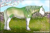 Horse Color:Watercolor Silver Brown Onyx Sabino Splash Rabicano