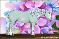 Horse Color:Watercolor Chocolate Palomino Dun Sabino 