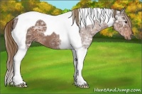 Horse Color:Liver Chestnut Ice Tobiano