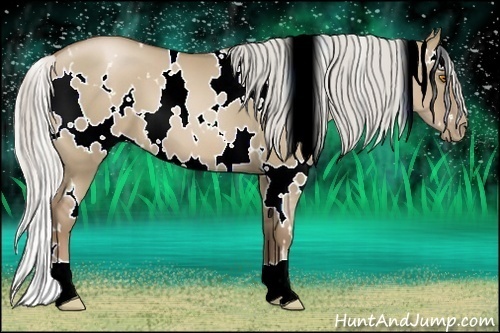 Horse Color:White Spotted Silver Grullo Pearl 