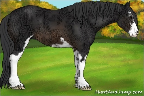 Horse Color:Buckskin Ice Sabino 