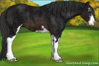 Horse Color:Buckskin Ice Sabino 