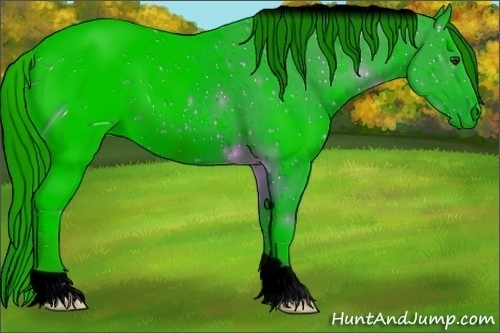 Horse Color:ERROR: UNKNOWN ANOMALY
