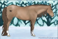 Horse Color:Black Pearl
