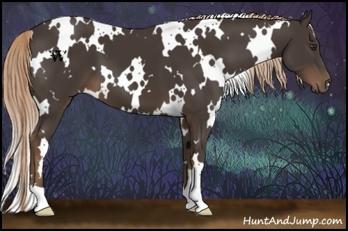 Horse Color:White Spotted Liver Chestnut 