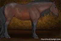 Horse Color:Brown 