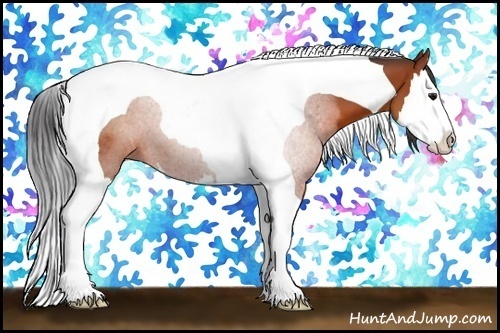 Horse Color:Bay Splash Tobiano