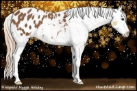Horse Color:Chestnut Sabino Appaloosa 