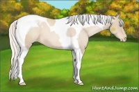 Horse Color:Silver Smoky Black Pearl Tobiano Varnish 