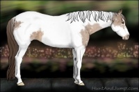 Horse Color:Liver Chestnut Tobiano Frame Rabicano 