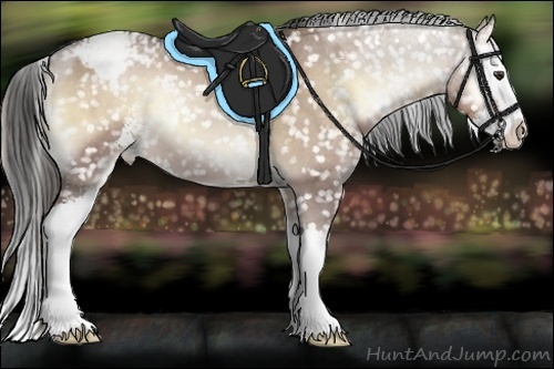 Horse Color:Liver Red Dun Roan Onyx Sabino Splash Appaloosa 