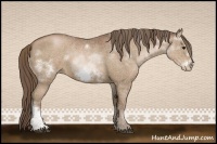 Horse Color:White Spotted Black Pearl Splash Frame 