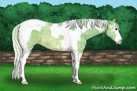 Horse Color:Watercolor Silver Brown Ice Sabino Splash Tobiano 