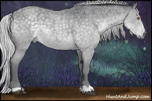 Horse Color:Silver Blue Chinchilla Roan