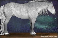 Horse Color:Silver Blue Chinchilla Roan 