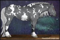 Horse Color:White Spotted Silver Black Chinchilla