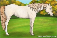 Horse Color:Buckskin Roan Pearl and Buckskin Roan Pearl