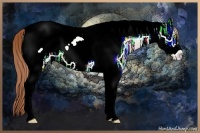 Horse Color:Buckskin Ice Pearl Tobiano Frame Rabicano