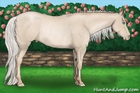 Horse Color:Silver Smoky Black Pearl Rabicano 