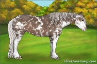 Horse Color:Silver Black Sabino 