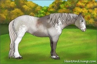 Horse Color:White Spotted Silver Black Sabino 
