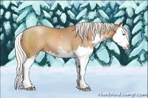 Horse Color:Silver Brown Pearl Sabino Splash 