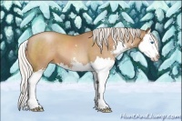 Horse Color:Silver Brown Pearl Sabino Splash