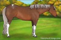 Horse Color:Silver Brown Sabino Tobiano 