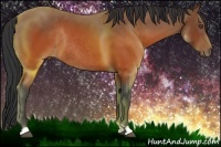 Horse Color:Brown Rabicano 