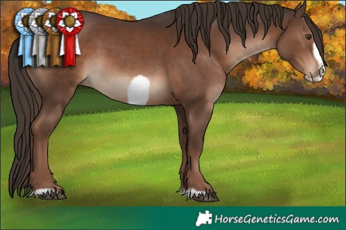 Horse Color:Liver Chestnut Frame 