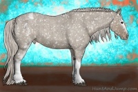 Horse Color:White Spotted Silver Smoky Grullo Roan Appaloosa 