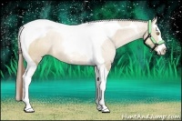 Horse Color:Brown Pearl Dun Splash Tobiano 