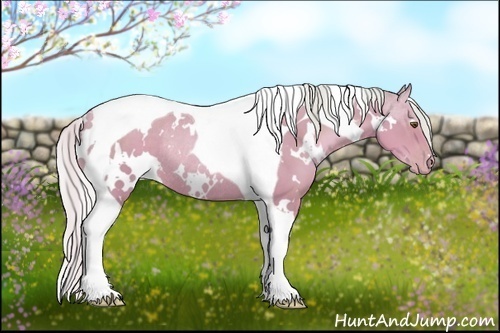 Horse Color:Watercolor White Spotted Silver Bay Pearl Tobiano Rabicano