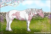 Horse Color:Watercolor White Spotted Silver Bay Pearl Tobiano Rabicano 
