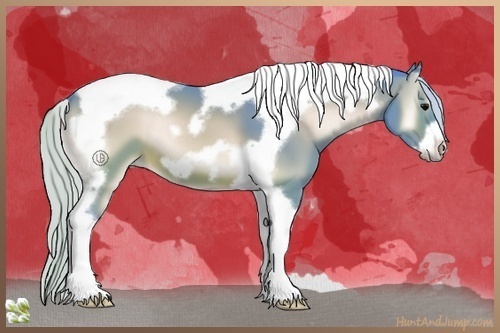 Horse Color:Watercolor Silver Brown Onyx Tobiano Frame