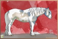 Horse Color:Watercolor Silver Brown Onyx Tobiano Frame 