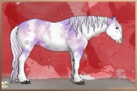 Horse Color:Watercolor White Spotted Silver Brown Onyx 